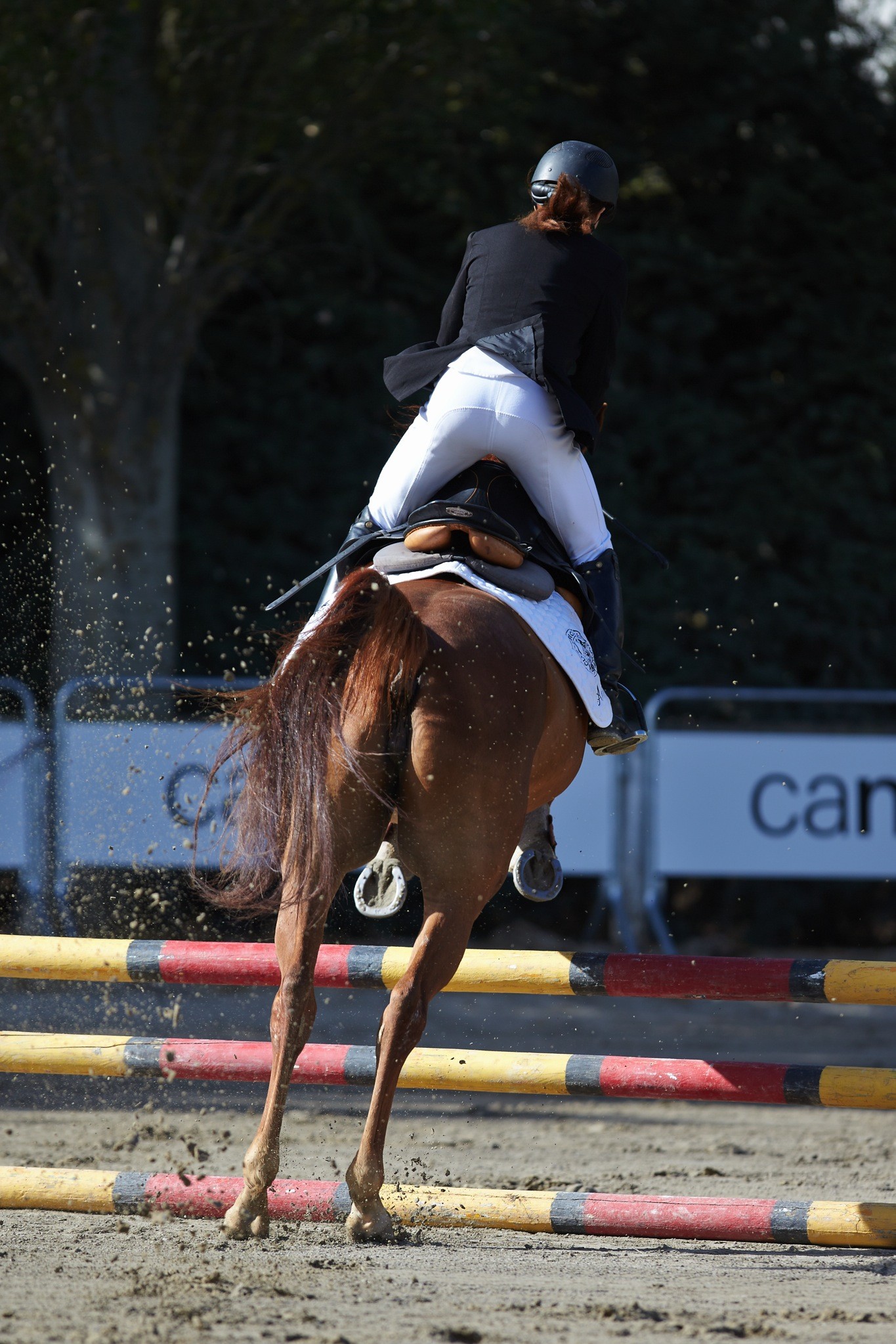Fotos CSN** San Fermin "Memorial Teresa Moreno" 2013